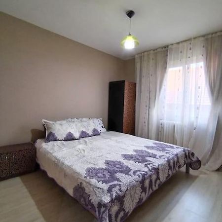 Apartament In Centrul Istoric Baia Mare Exterior foto