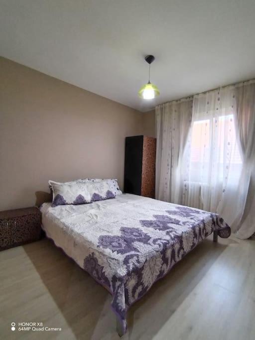 Apartament In Centrul Istoric Baia Mare Exterior foto